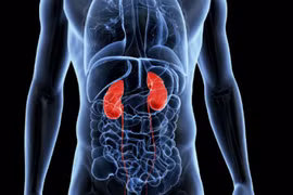 Người mẹ buộc phải chọn 1 trong 2 con để hiến thận