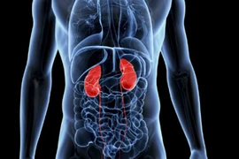 Người mẹ buộc phải chọn 1 trong 2 con để hiến thận