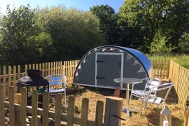 Bỏ cả đống tiền để được vào chuồng ngủ với lợn