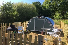 Bỏ cả đống tiền để được vào chuồng ngủ với lợn