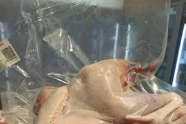 Gà đi bộ ăn chuối được mở bán gây sốt thị trường