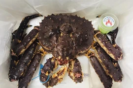 Đại gia Hà Nội chơi sang mua 72 con cua Hoàng đế đãi nhân viên