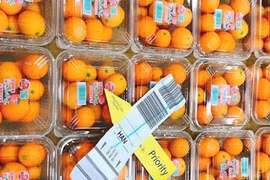 Những món "sơn hào hải vị" được săn lùng dịp Tết Kỷ Hợi