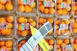 Những món "sơn hào hải vị" được săn lùng dịp Tết Kỷ Hợi