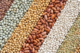 Video: Ăn gì bổ não để trí óc minh mẫn, nhớ lâu?