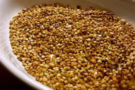 Video: Thực hư hạt kê có thể làm sạch độc tố trong cơ thể