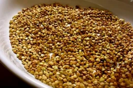 Video: Thực hư hạt kê có thể làm sạch độc tố trong cơ thể