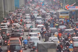 Video: Công nhân ngày đêm đánh chuyển cây, gấp rút mở rộng đường Láng