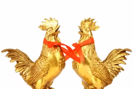 Video: Tử vi tuổi Dậu tháng 12 âm, tài lộc khởi sắc, tình duyên phơi phới