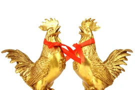 Video: Tử vi tuổi Dậu tháng 12 âm, tài lộc khởi sắc, tình duyên phơi phới