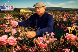 Video: Đến Pháp thăm Grasse - Thủ phủ nước hoa của Thế giới