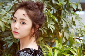 Tử vi tuổi Dậu năm Kỷ Hợi 2019: Sự nghiệp chìm nổi, sức khỏe rã rời, được mỗi tình duyên