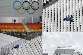 Cám cảnh nhà thi đấu, SVĐ Sochi ế khán giả, vắng tanh