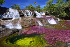 Choáng ngợp vẻ đẹp huyền thoại của sông cầu vồng ở Columbia