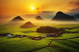 Ngất ngây vẻ đẹp của “thiên đường” Luoping, Trung Quốc