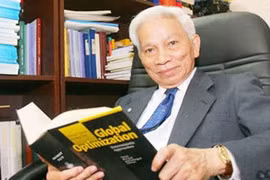 Giáo sư Hoàng Tụy: Người ươm mầm nhưng không phủ bóng