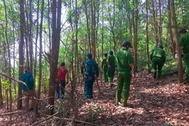 Nữ tài xế taxi bị trói trên núi: Đối tượng rút dao doạ 'được thuê giết giá 100 triệu'