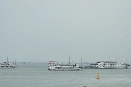 Bão số 3 đổ bộ Quảng Ninh – Thái Bình, 307 khách còn ở Cô Tô