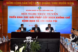 Thủ tướng Chính phủ: Phải chống dịch tả lợn châu Phi như chống giặc