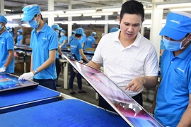 Luật sư nói gì về trách nhiệm của Asanzo trong việc 14 công ty liên quan biến mất?