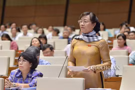 Nói giảm bao nhiêu tiền một đại biểu sẽ rất thiển cận và đau lòng