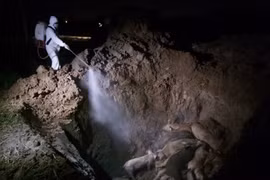 Chủ fanpage “Đầm Bầu Thời Trang Mami” tung tin sai sự thật dịch tả lợn?