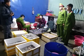 Công an Hải Phòng thông tin vụ bơm tạp chất vào tôm