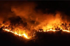 Tạm giữ hình sự đối tượng đốt rác gây cháy rừng ở Hà Tĩnh