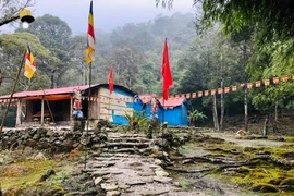 Trụ trì chùa Nga Hoàng bị tố gạ tình phóng viên