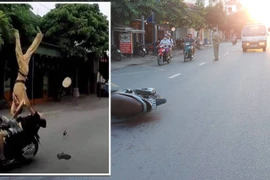 Xử lý tội giết người đối với thiếu niên hất văng CSGT ở Hải Phòng được không?