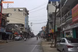 Trồng cây dưới lòng đường ở Uông Bí: Sở Xây dựng yêu cầu tạm dừng