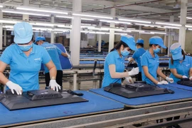 Luật sư nói gì về vụ Cục thuế TP HCM 'gõ nhầm' Asanzo trốn thuế 4.200 tỷ