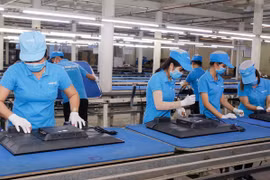 Luật sư nói gì về vụ Cục thuế TP HCM 'gõ nhầm' Asanzo trốn thuế 4.200 tỷ