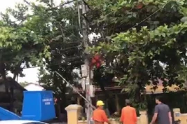 Sửa chữa điện tại trường mầm non, một công nhân điện lực tử vong