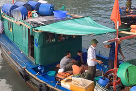 Mẹ khóc ngất khi tìm thấy thi thể bé 4 tuổi rơi xuống biển