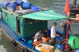 Mẹ khóc ngất khi tìm thấy thi thể bé 4 tuổi rơi xuống biển