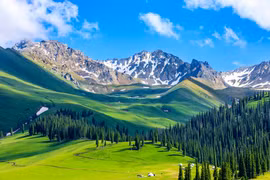 Gợi ý 4 địa điểm du lịch xanh nên đến trong mùa hè