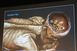 Bí mật xác ướp người đàn ông tóc vàng đặc biệt nhất thế giới