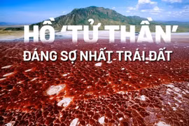 Hồ tử thần đáng sợ khiến mọi sinh vật rớt xuống 'hóa đá' bí ẩn