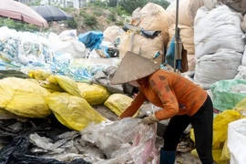 Cả làng thành tỷ phú nhờ đi "nhặt rác"