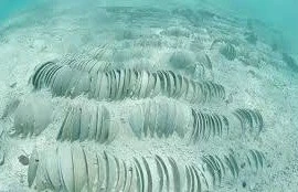 Mất gần 2.000 ngày đêm để lấy 30.000 “vật thể lạ” dưới biển