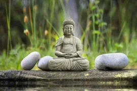 Ngựa không tranh tốc độ với trâu, chồng không tranh thắng thua với vợ