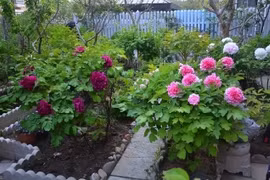 Tháng sinh Âm lịch tốt lành, ai sở hữu như vớ được vàng thô