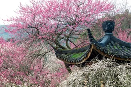 3 ngày sinh Âm lịch mang phước lành, trước vất vả sau viên mãn