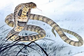 Nắng xuân rực rỡ, 4 con giáp tiền tài nhân đôi, thăng tiến chóng mặt 