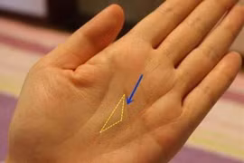 3 nét tướng tay của người giàu, ai sở hữu phúc lộc ba đời