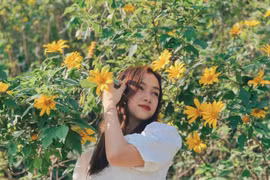 Mỹ nhân có IELTS 8.0 vào chung kết Hoa hậu Việt Nam 2022