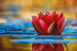 Bạn và người thân tốt đến đâu cũng đừng tiết lộ 5 điều này