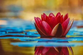 Bạn và người thân tốt đến đâu cũng đừng tiết lộ 5 điều này