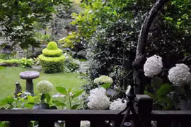 Ngôi nhà nhỏ bình yên trong thành phố lớn khiến nhiều người trầm trồ